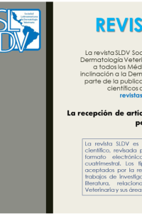 Normas de publicación revista SLDV